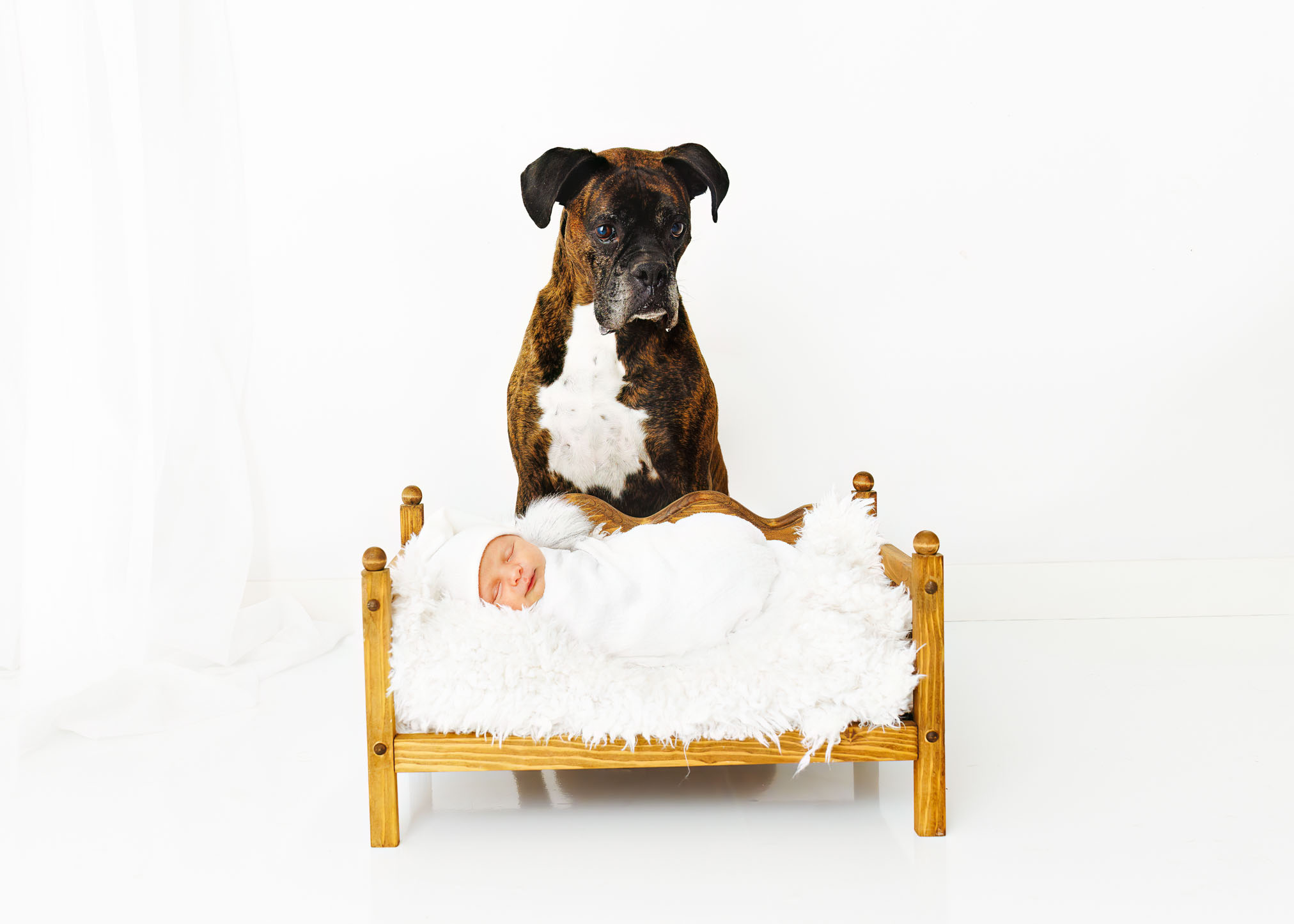 Best Baby Photographer Grand Junction
