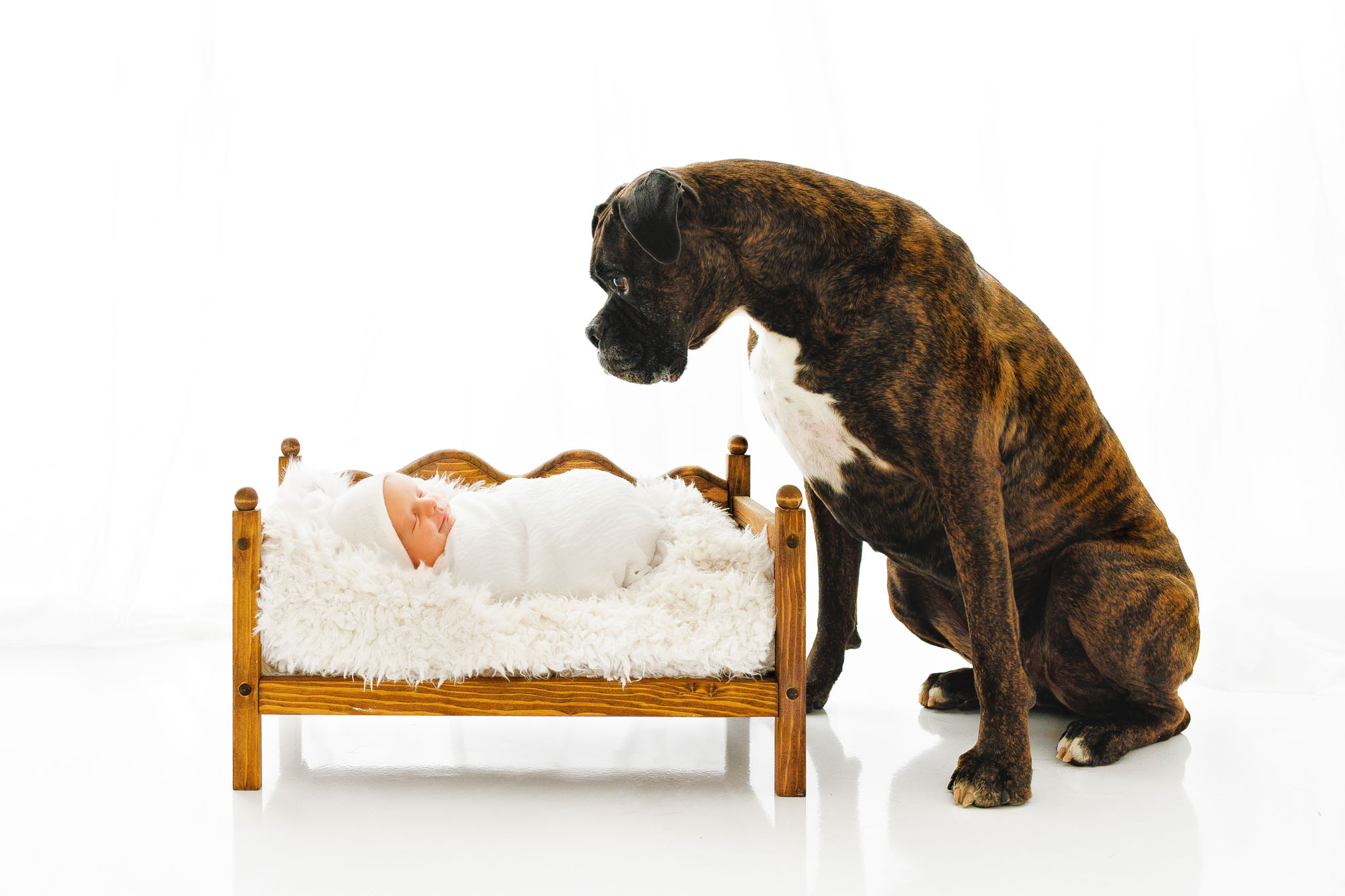 Best Baby Photographer Grand Junction