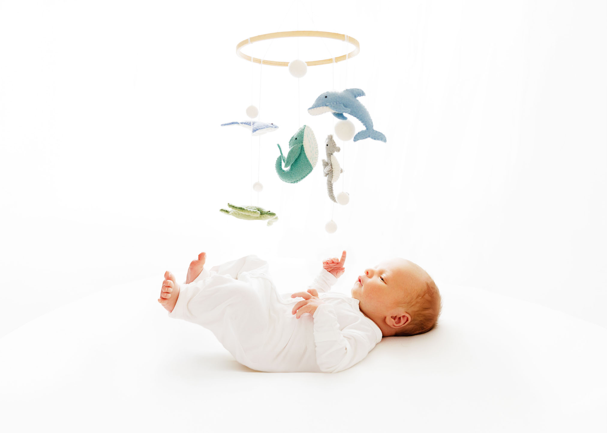 Best Baby Photographer Grand Junction