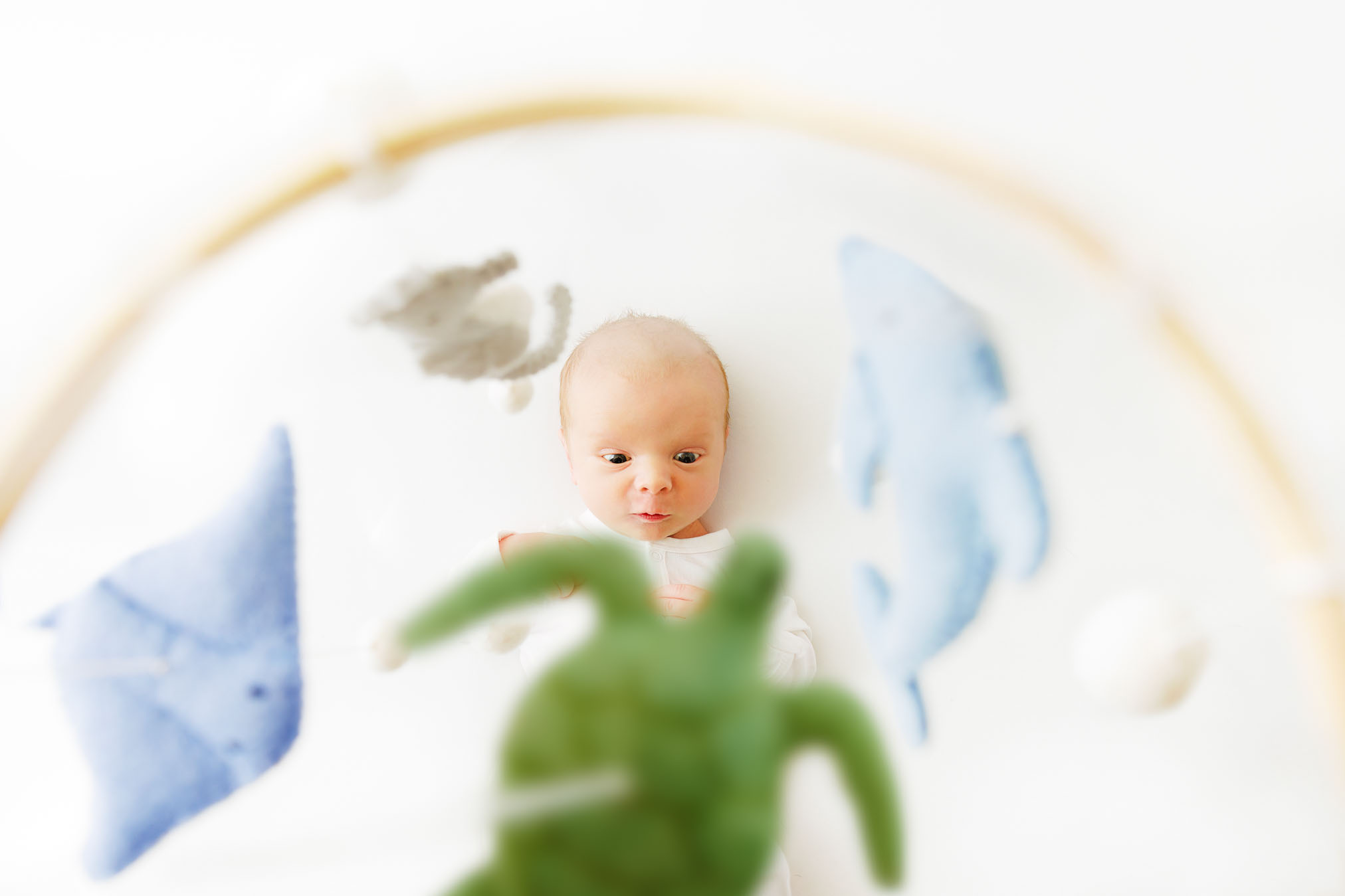 Best Baby Photographer Grand Junction