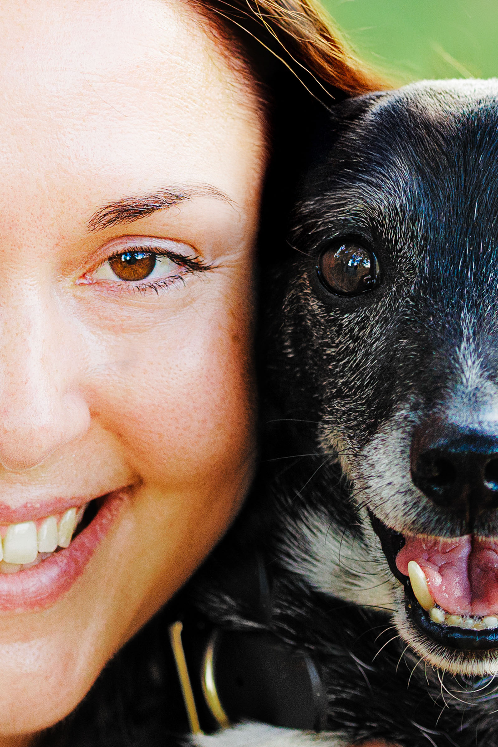 Best Pet Photographer Grand Junction