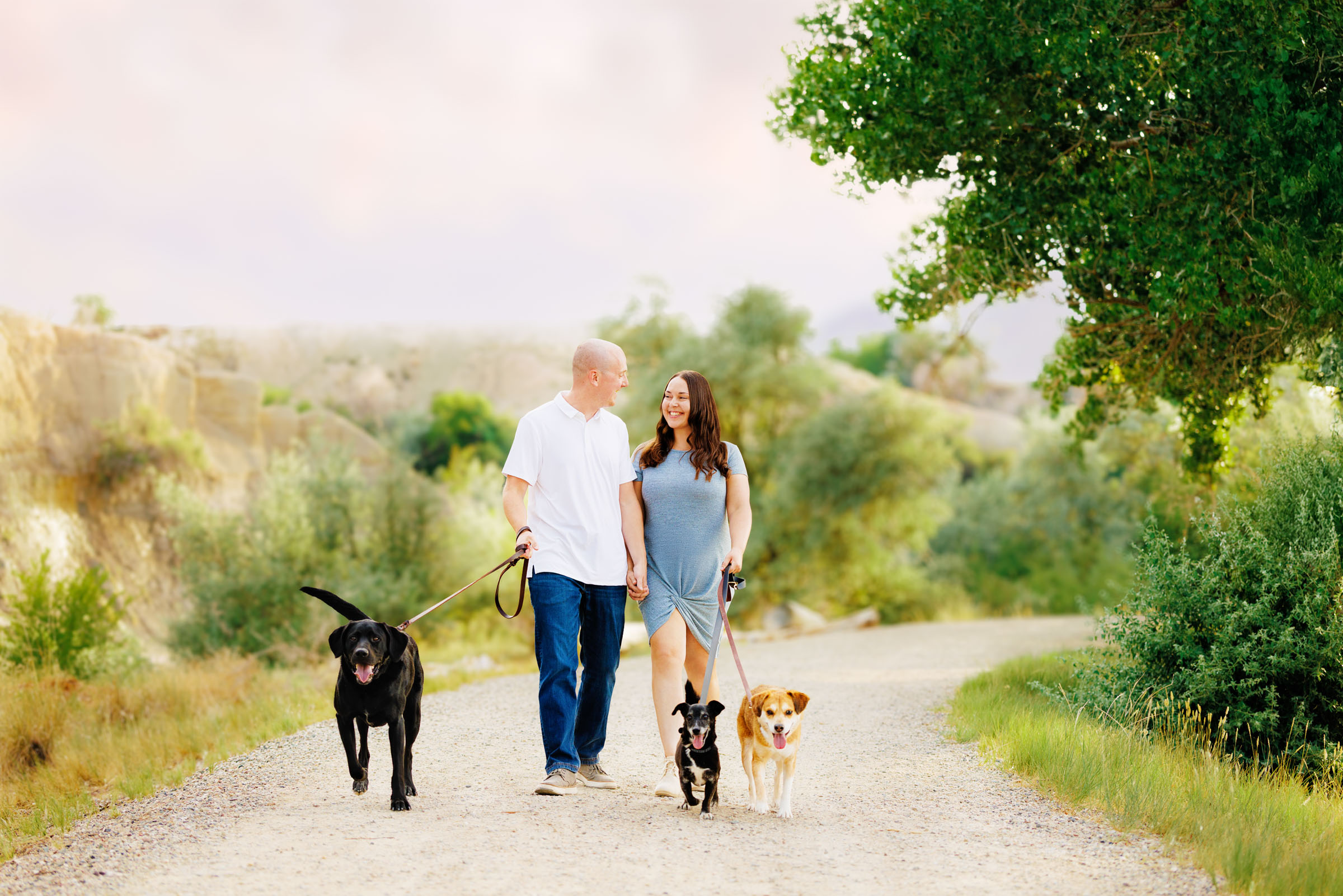Best Pet Photographer Grand Junction