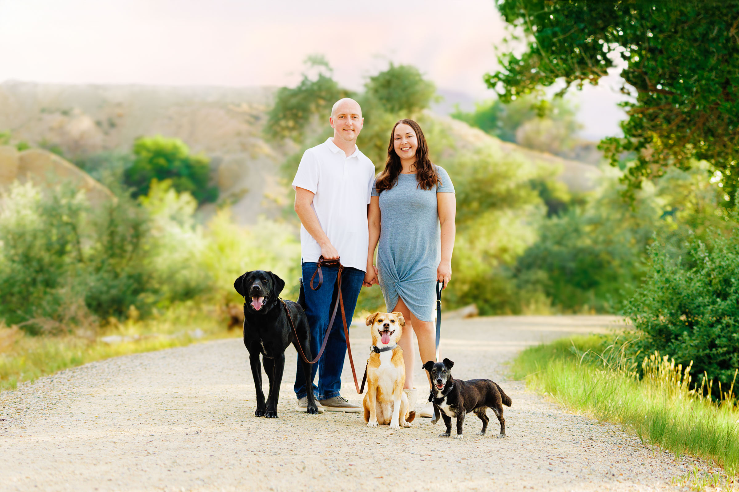 Best Pet Photographer Grand Junction