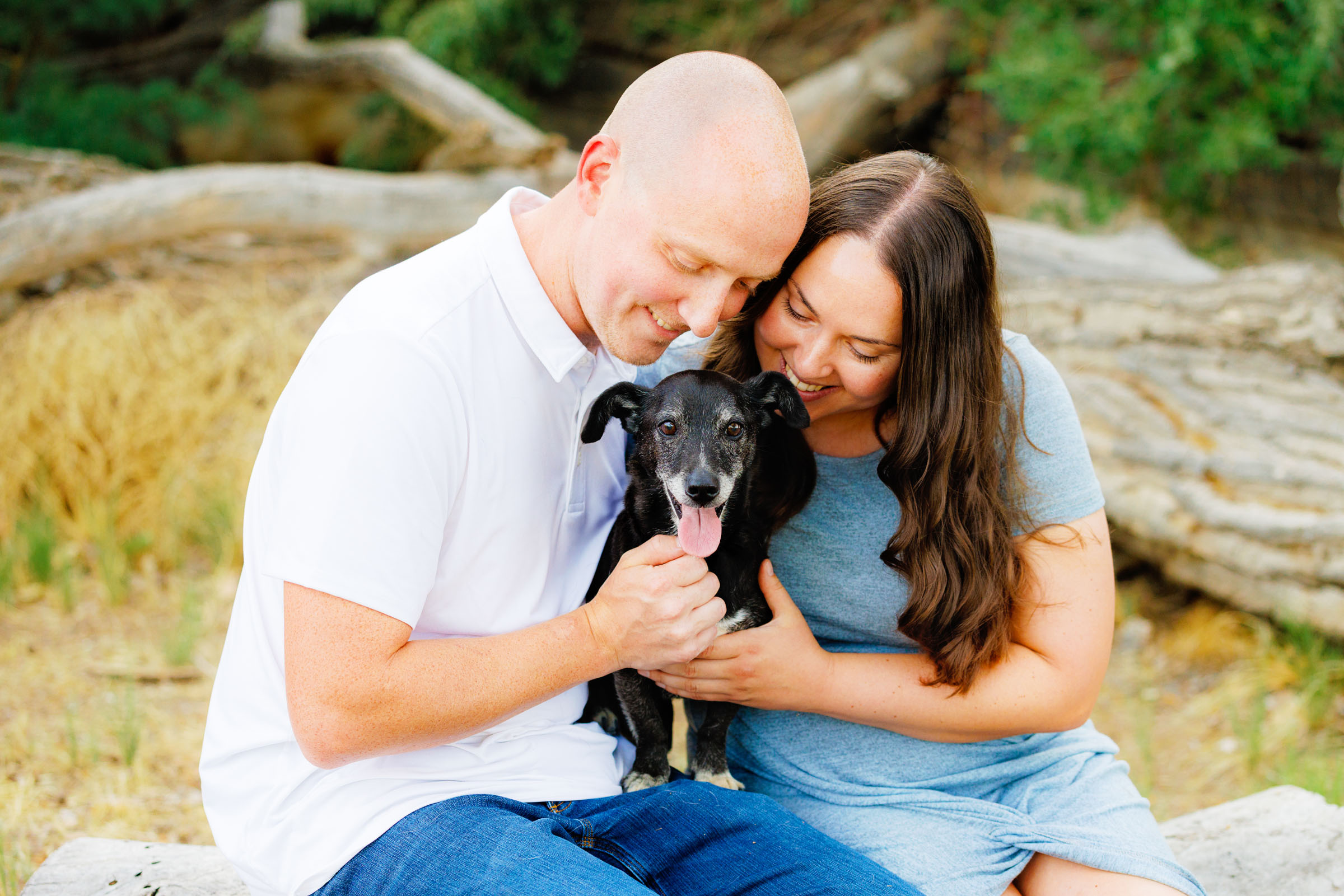 Best Pet Photographer Grand Junction