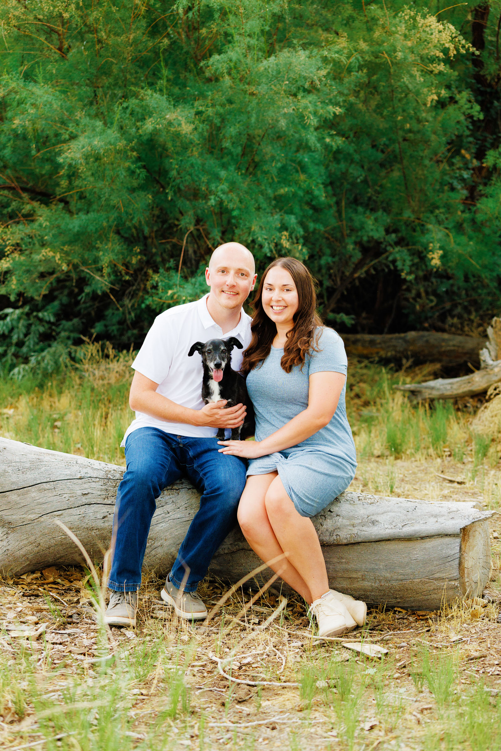 Best Pet Photographer Grand Junction