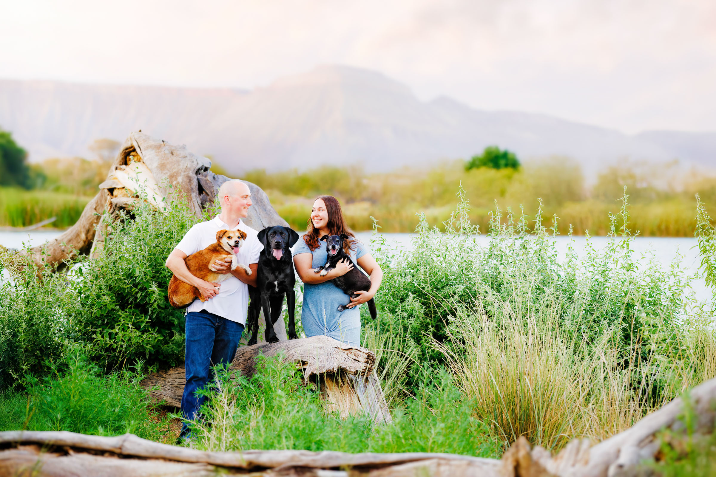 Best Pet Photographer Grand Junction