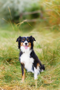 Family Portraits Grand Junction CO