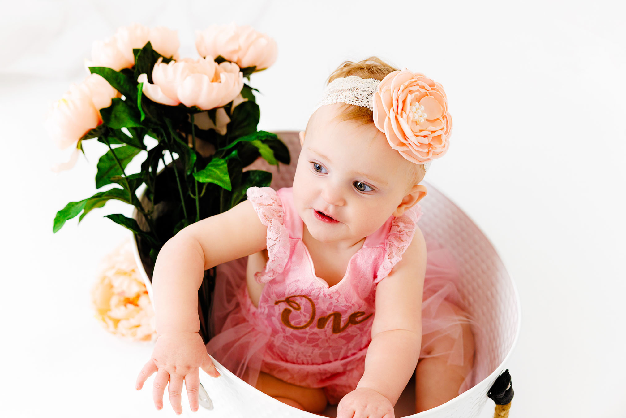 Grand Junction First Birthday Photographer