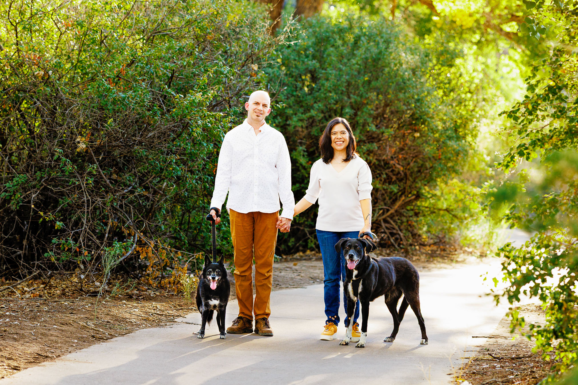 Grand Junction Pet Photographer