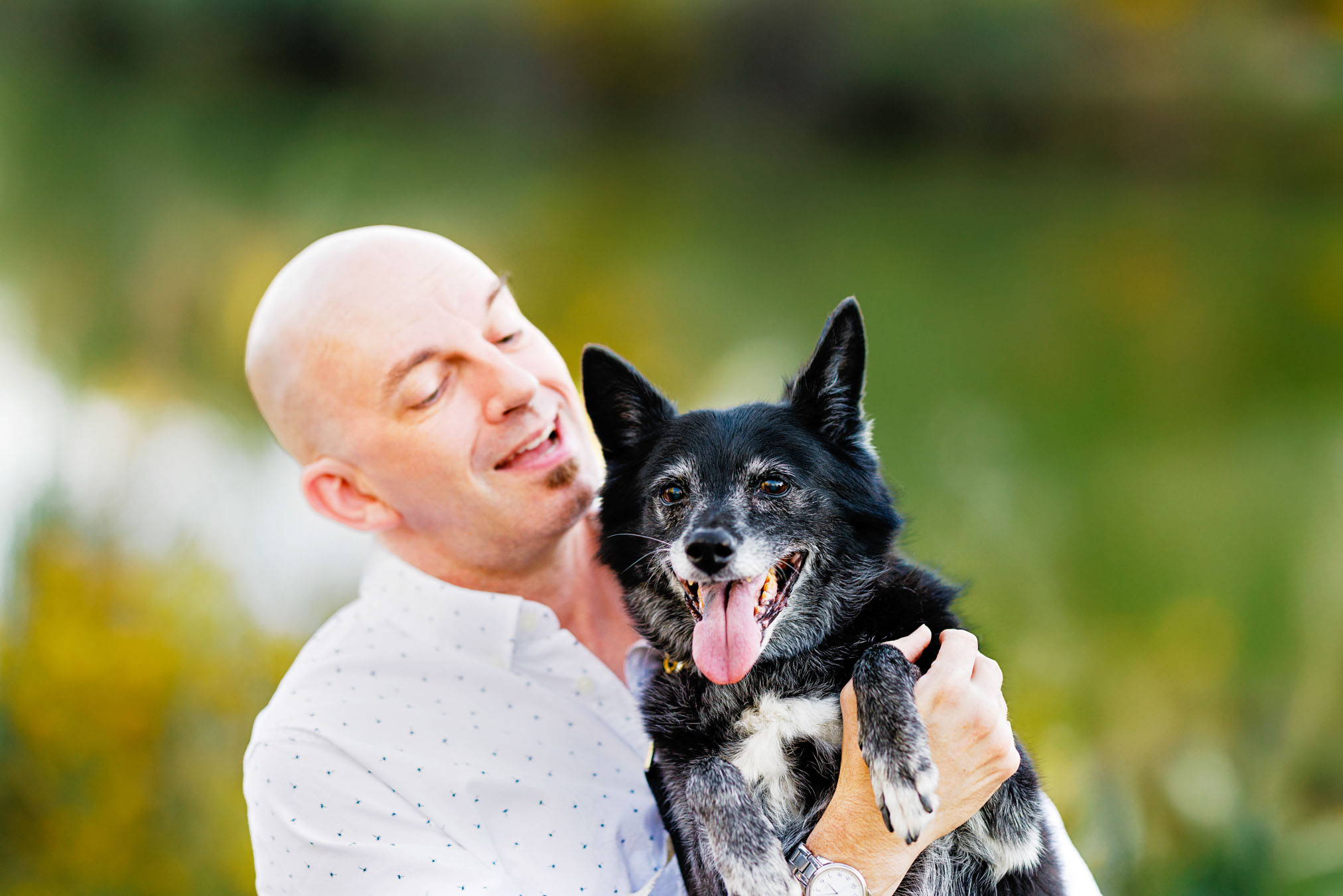 Grand Junction Pet Photographer