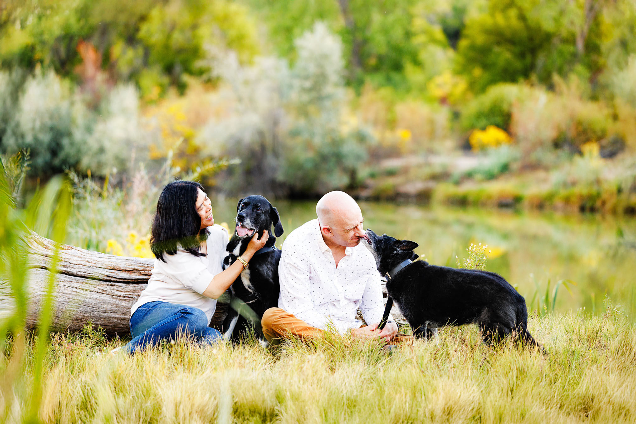 Grand Junction Pet Photographer