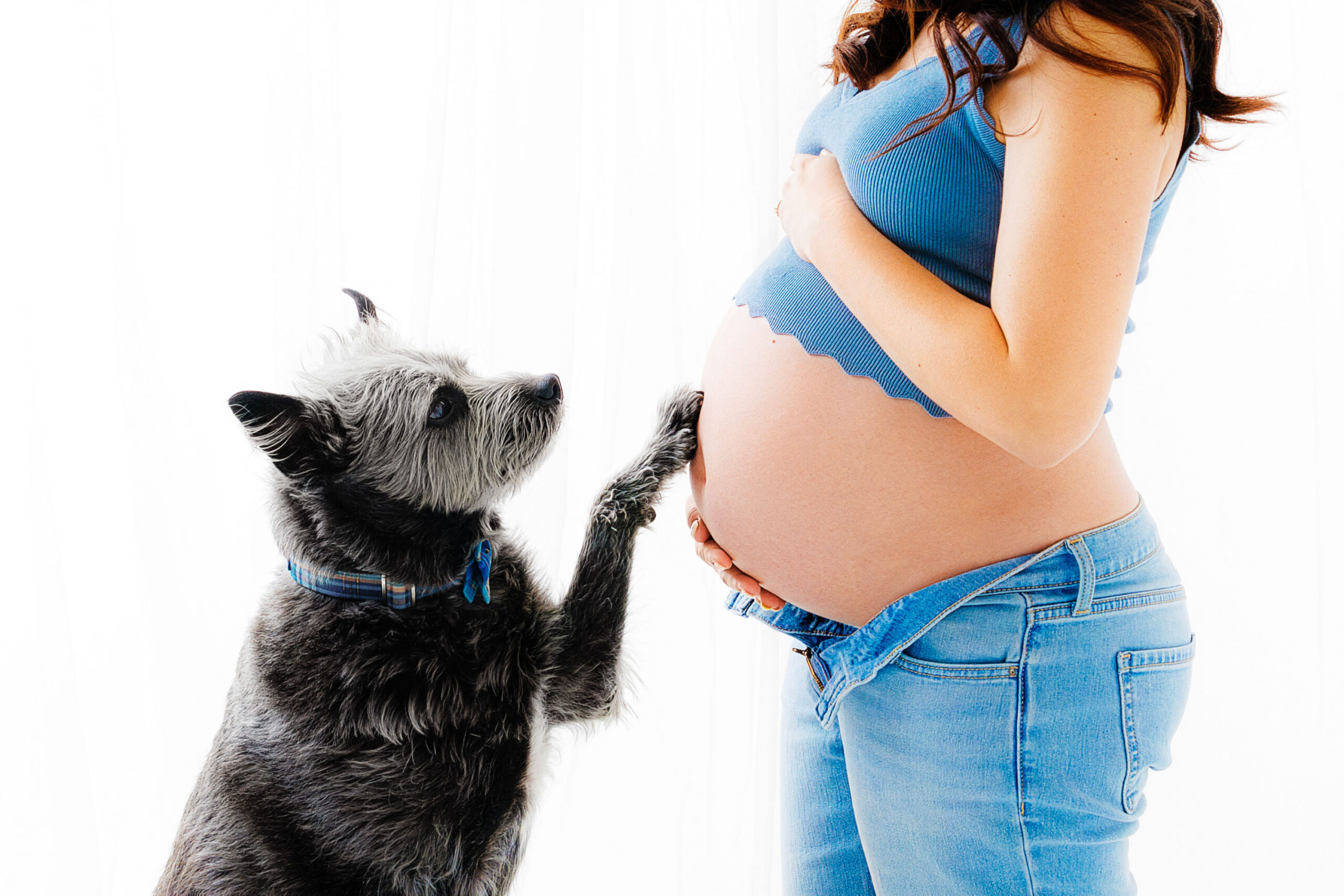 Maternity Photographer Grand Junction CO