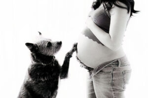 Maternity Photographer Grand Junction CO