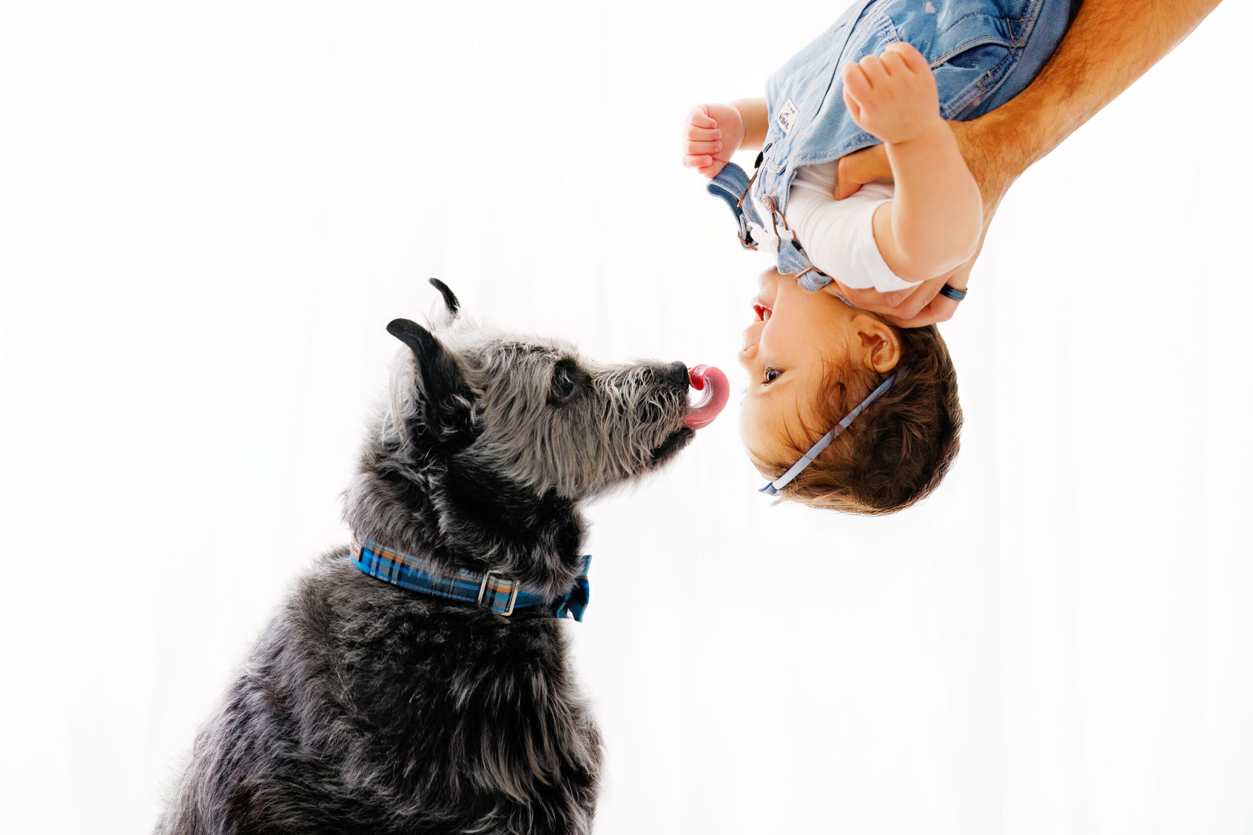 Maternity Photographer Grand Junction CO