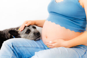 Maternity Photographer Grand Junction CO