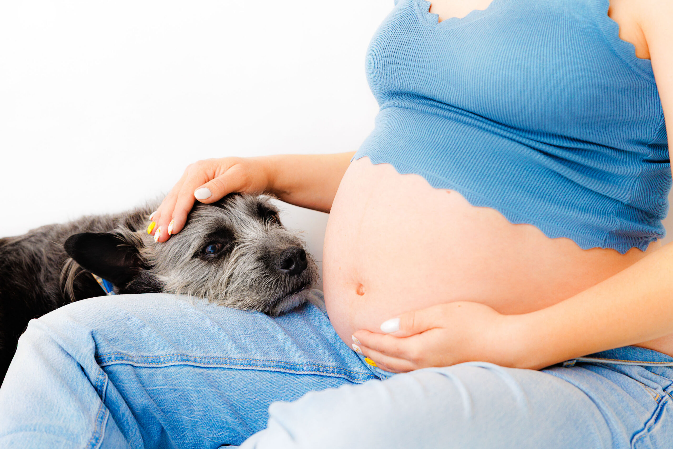 Maternity Photographer Grand Junction CO