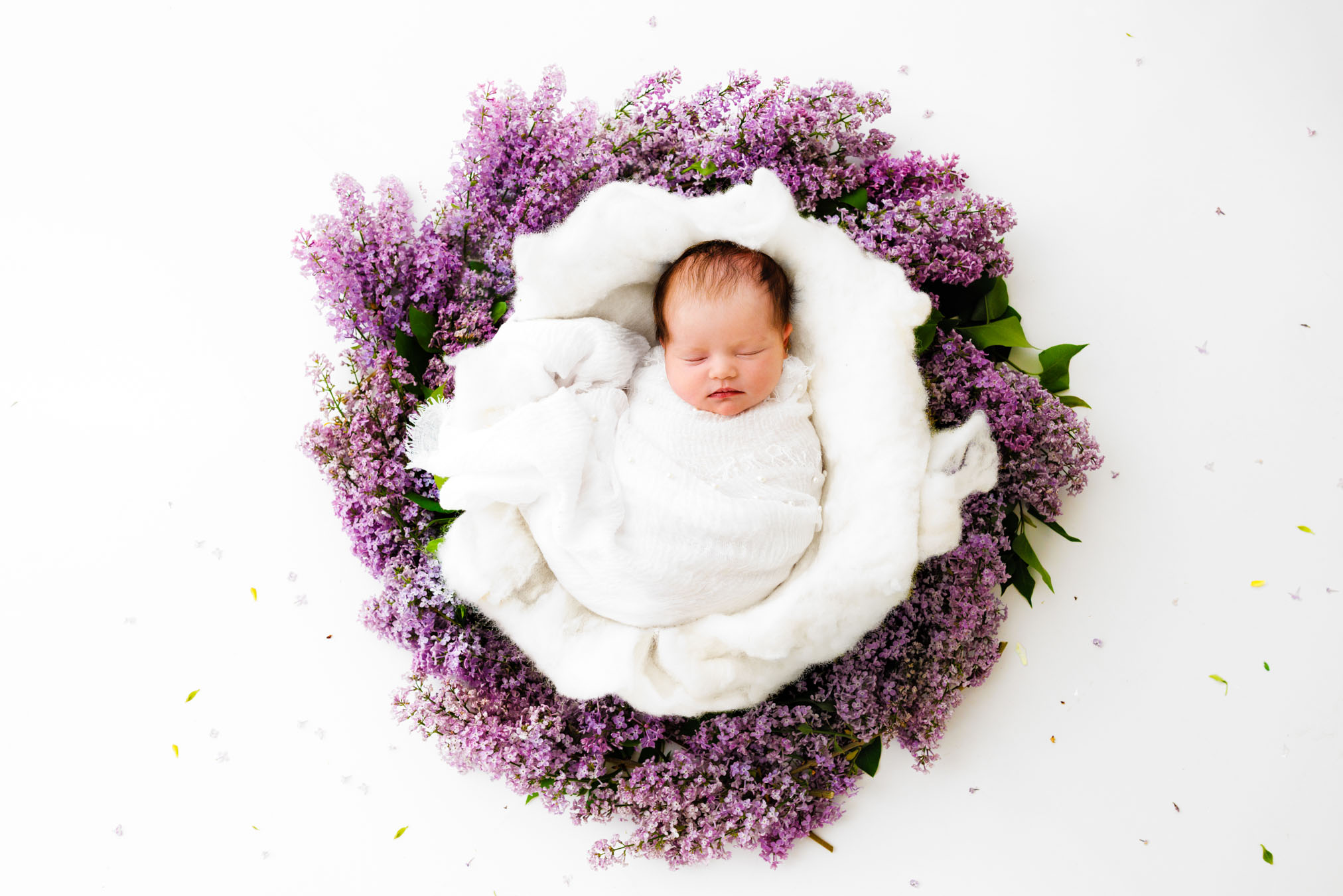 Timeless Newborn Photography Colorado