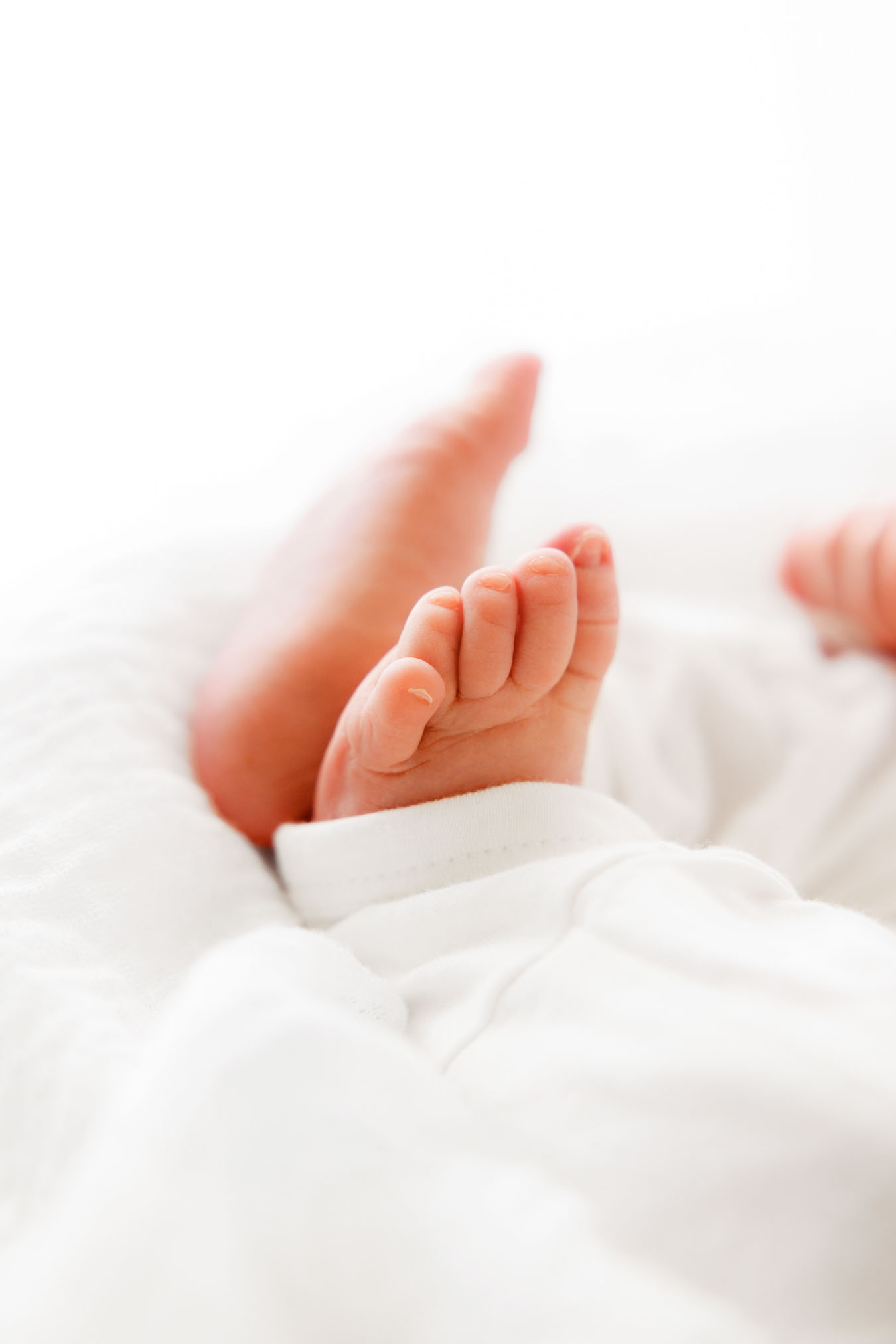 Timeless Newborn Photography Colorado