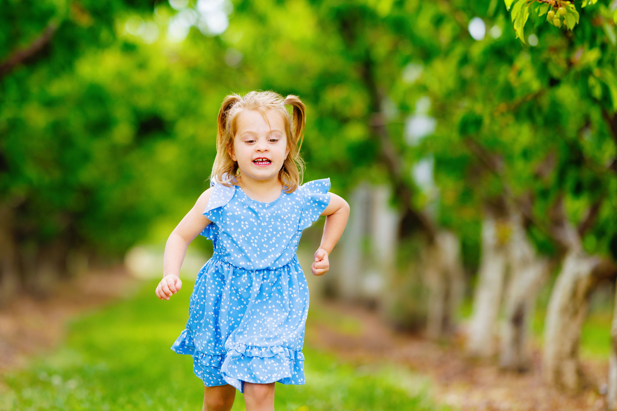 Grand Junction First Birthday Photography