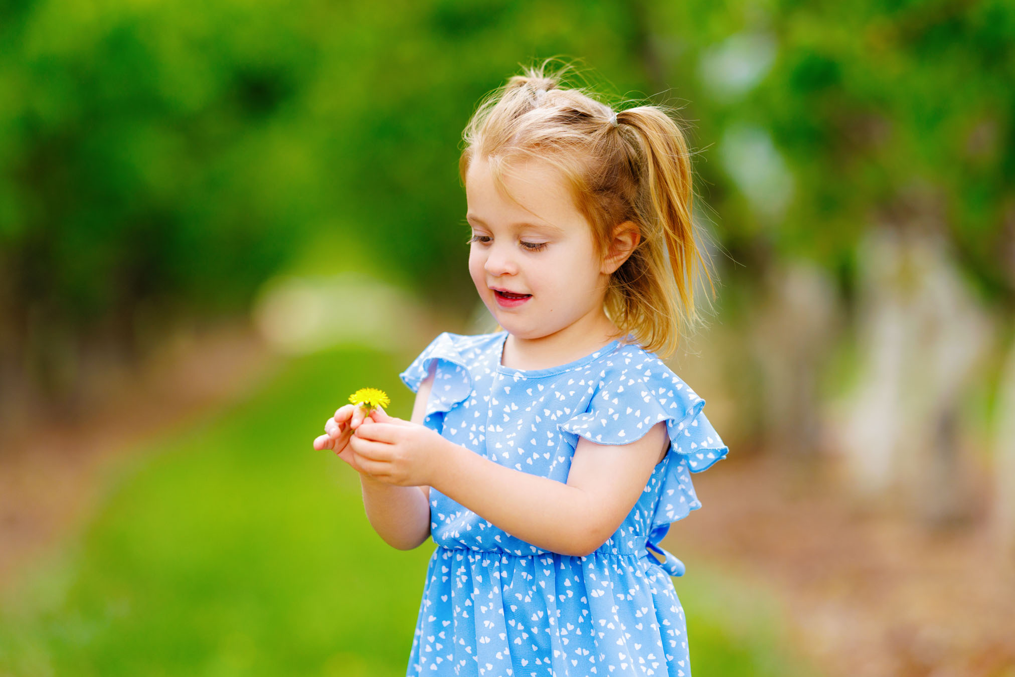 Grand Junction First Birthday Photography