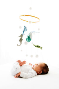 Professional Newborn Portraits Grand Junction