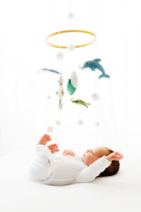 Professional Newborn Portraits Grand Junction