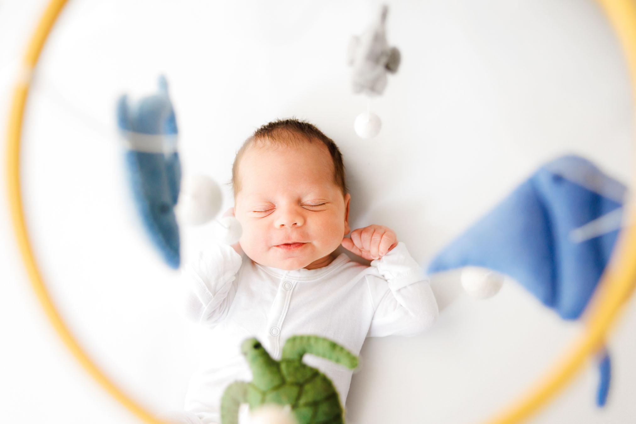 Professional Newborn Portraits Grand Junction