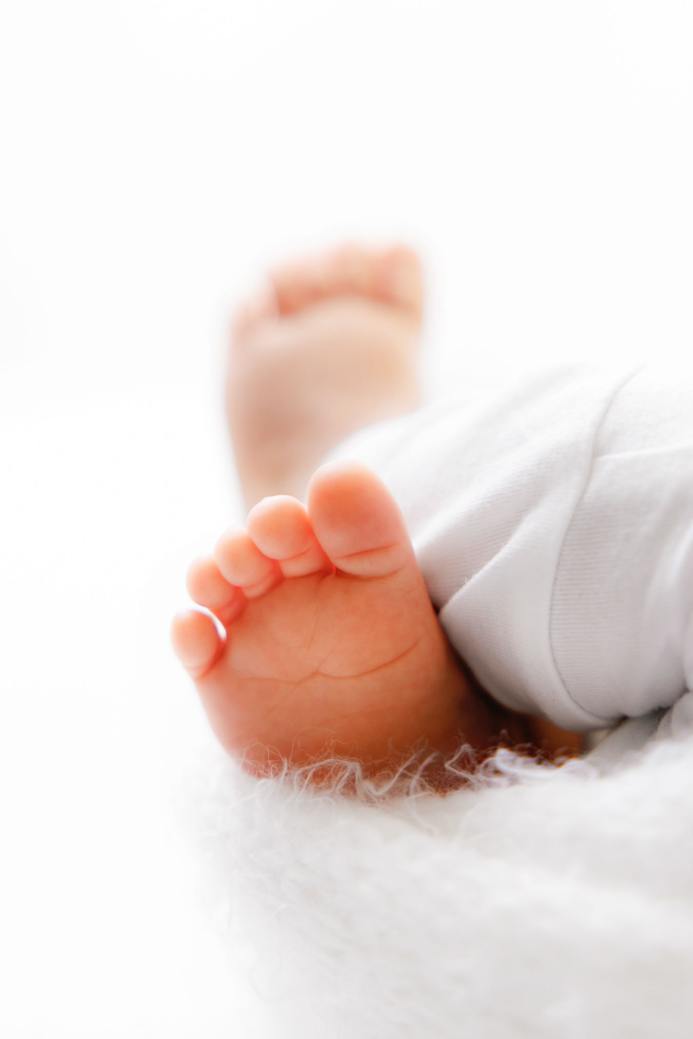 Grand Junction Newborn Photographer