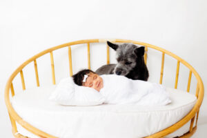 Grand Junction Newborn Photographer